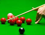 Snooker : Open du Pays de Galles - Robert Milkins / Shaun Murphy